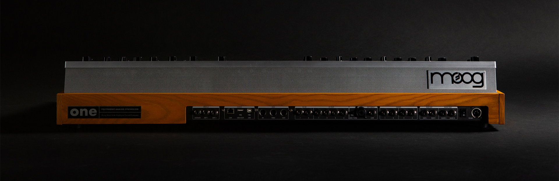 Moog One