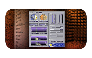 RealVerb Pro