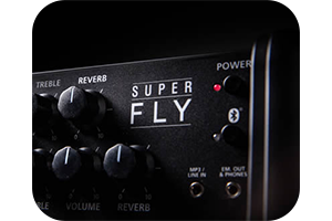 Amplificatore Stereo Portatile Super Fly Active Cabinet 24W - Blackstar - Foto 2