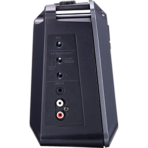 Roland Mobile Cube