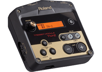 Roland - 'TM-2'