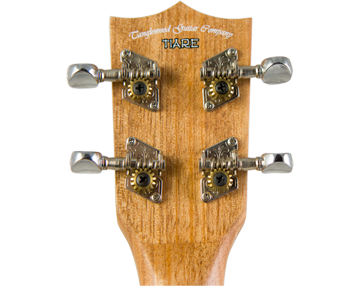 tanglewood twt 1