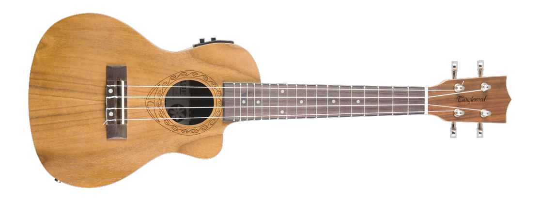 tanglewood twt 13 e