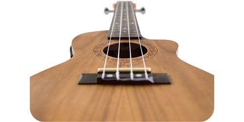 tanglewood twt 13 e