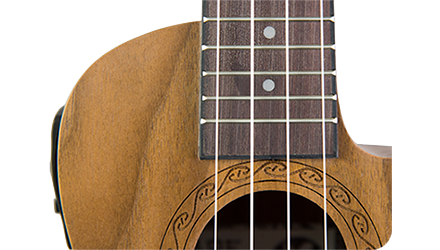 tanglewood twt 13 e