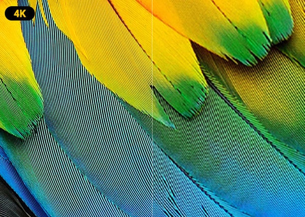 4k resolution of the pen display