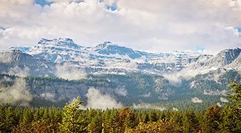 Chaos Corona rendered image of mountain range covered in snow and pine forrest