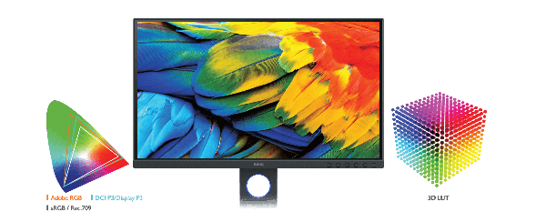 BenQ SW321C 32 inch 4K PhotoVue Monitor SW321C with Calibrite ColorChecker Display Plus