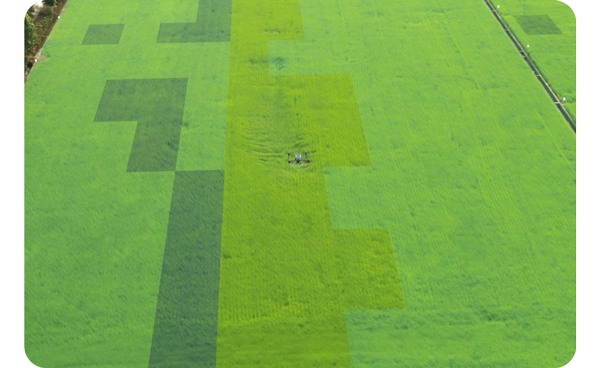 DJI Mavic 3 Multispectral Mavic 3M Enterprise Drone