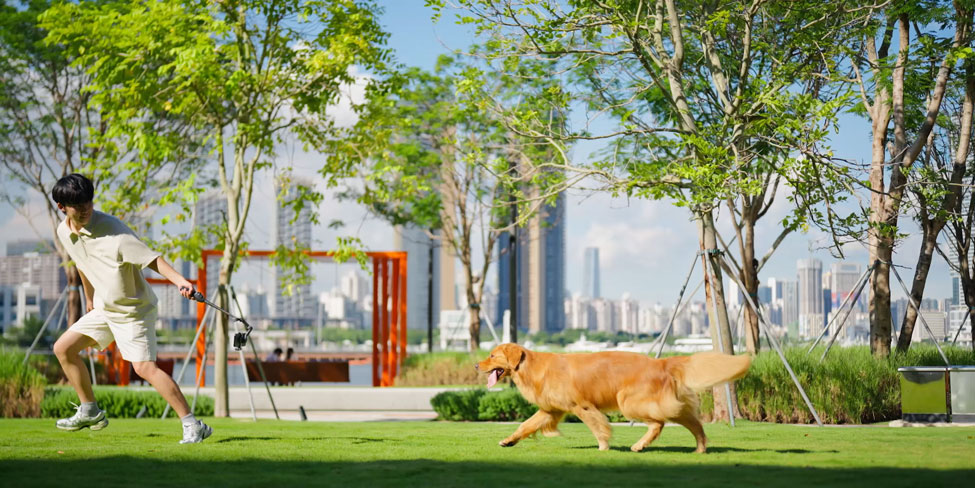 dji osmo mobile being used to film a dog