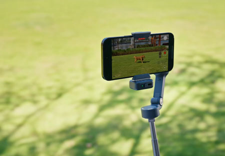 dji osmo mobile being used to film a dog