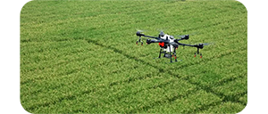 DJI P4 Multispectral Drone UAS for Agriculture
