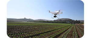 DJI P4 Multispectral Drone UAS for Agriculture