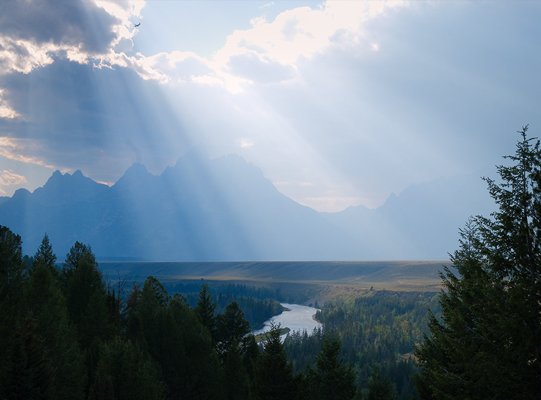 sample image of a valley forrest taken with the fuji xf30mm macro lens