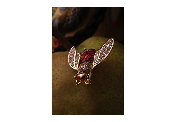 sample image of bug jewellery taken with the fujifilm x lens