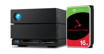 LaCie 2big Dock with SeaGate Ironwolf Pro Drive
