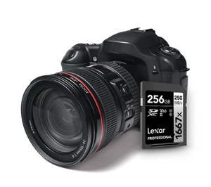 Lexar 256GB Professional 1667x UHS-II SDXC Card