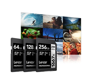 Lexar 256GB Professional 1667x UHS-II SDXC Card