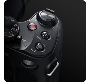 Image of LUMIX FZ82D bridge camera hand controls with Zoom Compose Assist function and record buttons