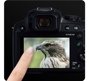 Image of LUMIX FZ82D bridge camera rear touch screen showing image of eagle with person touching screen