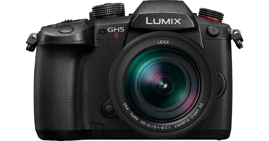 Panasonic LUMIX GH5M2L Mirrorless Camera with Leica 12-60mm Lens