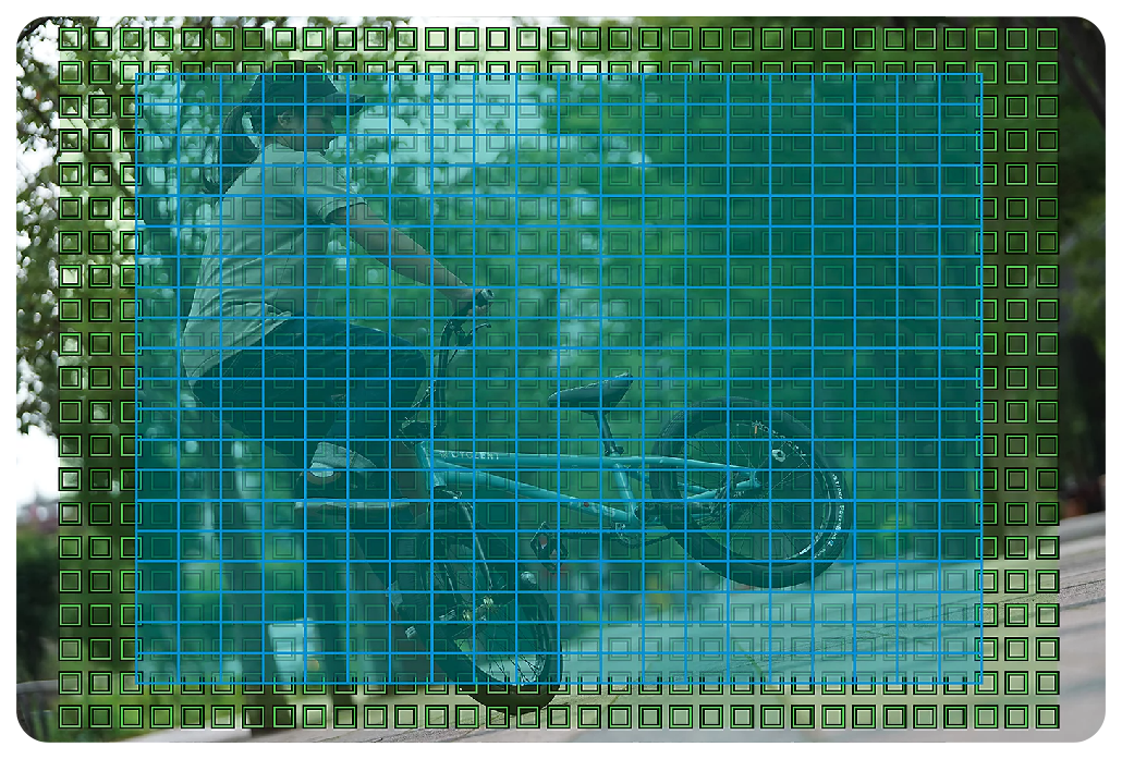 Sony A7C Sample image of bmx rider with autofocus grid
