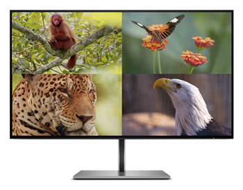 multi-channel ouputs on a monitor