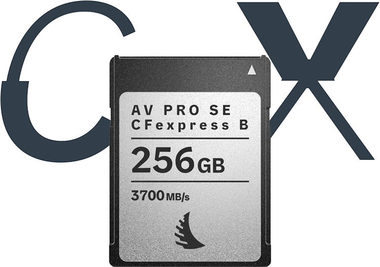 Angelbird 256GB AV PRO SE CFexpress Type B 4.0 Memory Card