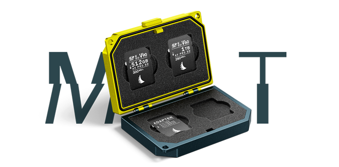 Angelbird Media Tank SD Card Case