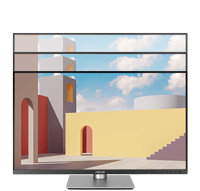 ASUS ProArt PA24ACRV Display