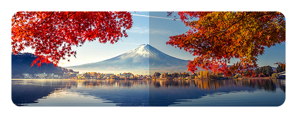asus proart monitor dci-p3 example