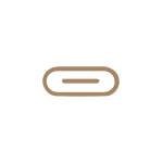 gold usb-c icon