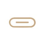 gold usb-c icon