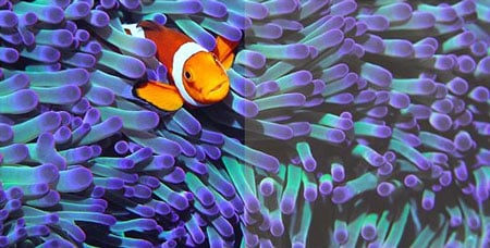 asus proart monitor blue light filter comparison