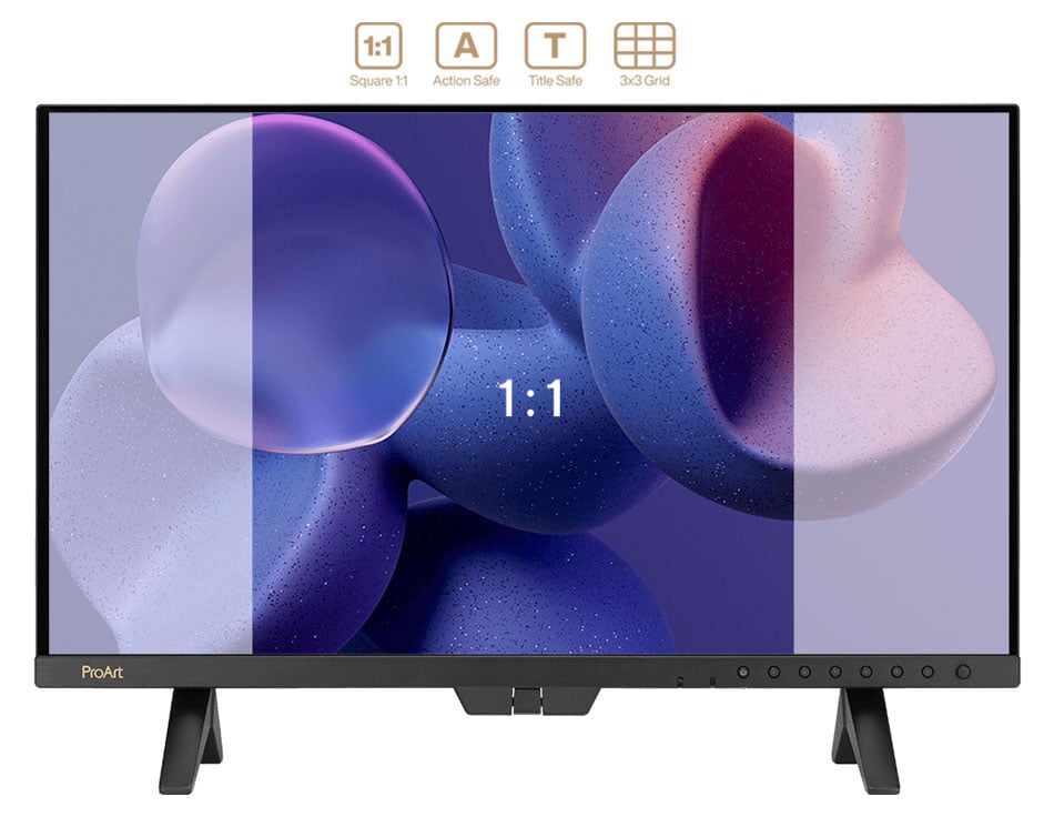 pro art monitor showing the safety area preview