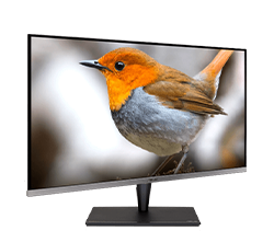 ASUS 32in ProArt Display PA32UCG-K Professional 4K HDR Monitor