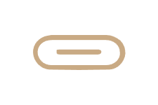 gold usbc icon