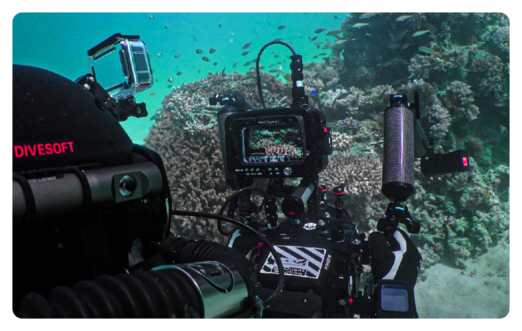 Atomos Ninja being used for underwater reef recording, Atomos Ninja