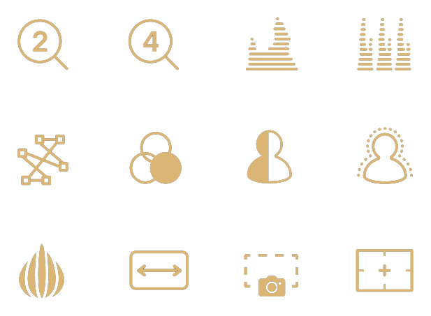 symbols for different monitoring tools of the atmos ninja, Atomos Ninja
