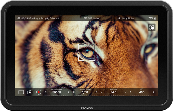 Atomos Shinobi 7 II