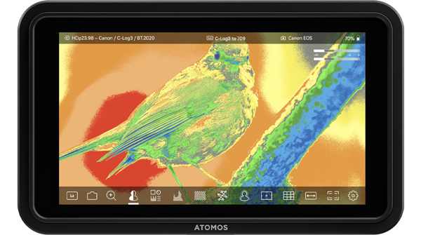 atomos shinobi 7 el zone
