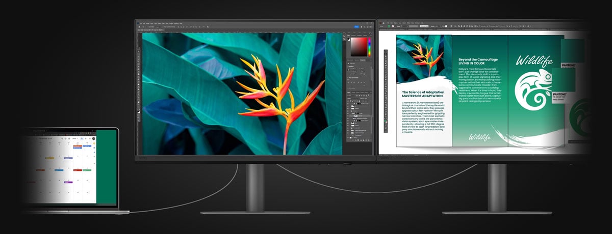 two benq monitors daisy chained together to a laptop using thunderbolt 4