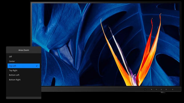 zooming in using the controls on the benq monitor