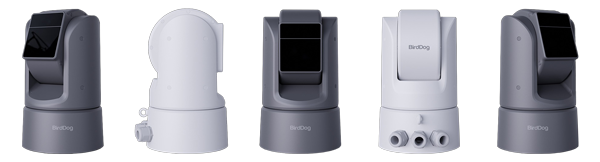 BirdDog O4 Outdoor 4K PTZ Camera model profiles