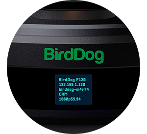 BirdDog P120 NDI PTZ Camera