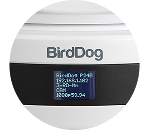 BirdDog P240 Full NDI® PTZ Camera Bundle