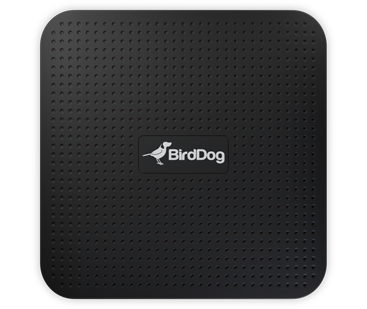 BirdDog Play 4K NDI Player