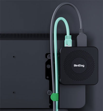 birddog play pro mounted on the back on a monitor