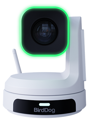 BirdDog X1 HD PTZ Camera White