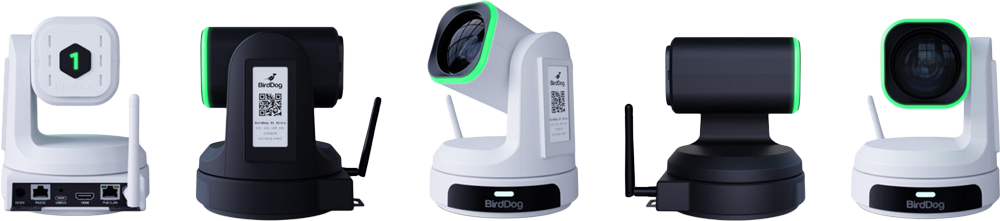 birddog ptz camera range